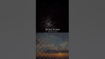 تلاوة قرانية حزينة بصوت عبد الرحمن مسعد 😔❤️