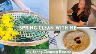 Spring Cleaning Routine | Spring Clean With Me | Inspired Homemaking