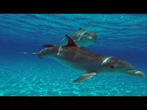 sailing-through-the-bahamas-out-islands-(3-months-in-3-minutes)-|-sailing-miss-informed