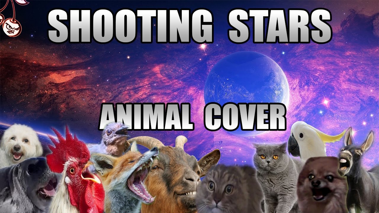 Bag Raiders - Shooting Stars (Animal Cover)