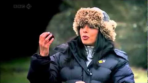 BBC Bang Goes The Theory series 3 episode 5 (Volcano clip)