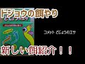 【おすすめ】ドジョウの餌やり＆餌紹介！ 2022/9/17