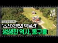 조선왕릉 1부 용의 눈물, 동구릉