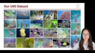 WaterMask: Instance Segmentation for Underwater Imagery