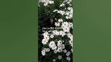 سوره طه ياسر الدوسري #قران_كريم #اكسبلور #المصحف #تلاوة_خاشعة
