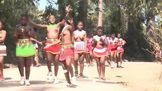 Umhlonyane ka Sindisiwe Zulu Ceremony