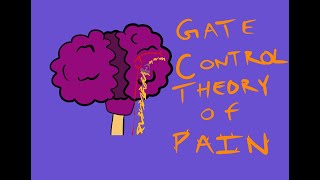 What is Pain? - Melzack & Wall's, 1965 Gate Control Theory of Pain