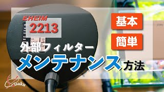 【エーハイム2213】外部フィルターの基本的なメンテナンス方法【コリドラス水槽Part.10】