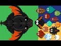 KING DRAGON // BLACK DRAGON // GIANT SCORPION // MOPE.IO