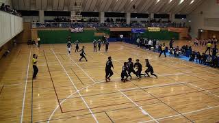 2019.2.17 秋田県南カップ 準決勝 じゃいごかだーるDX対常盤DBC