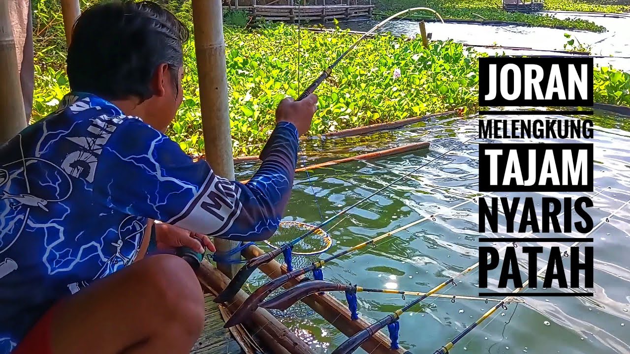 NEWEST JATILUHUR FISHING ❗❗ A Long Struggle, But the BABON Fish Escaped in the End ❗❗