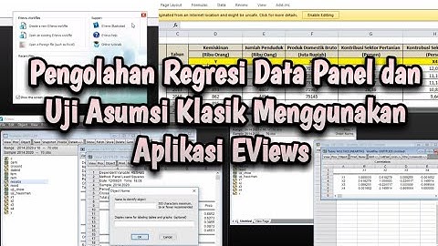 Tahapan Regresi Data Panel Menggunakan Aplikasi EViews 10
