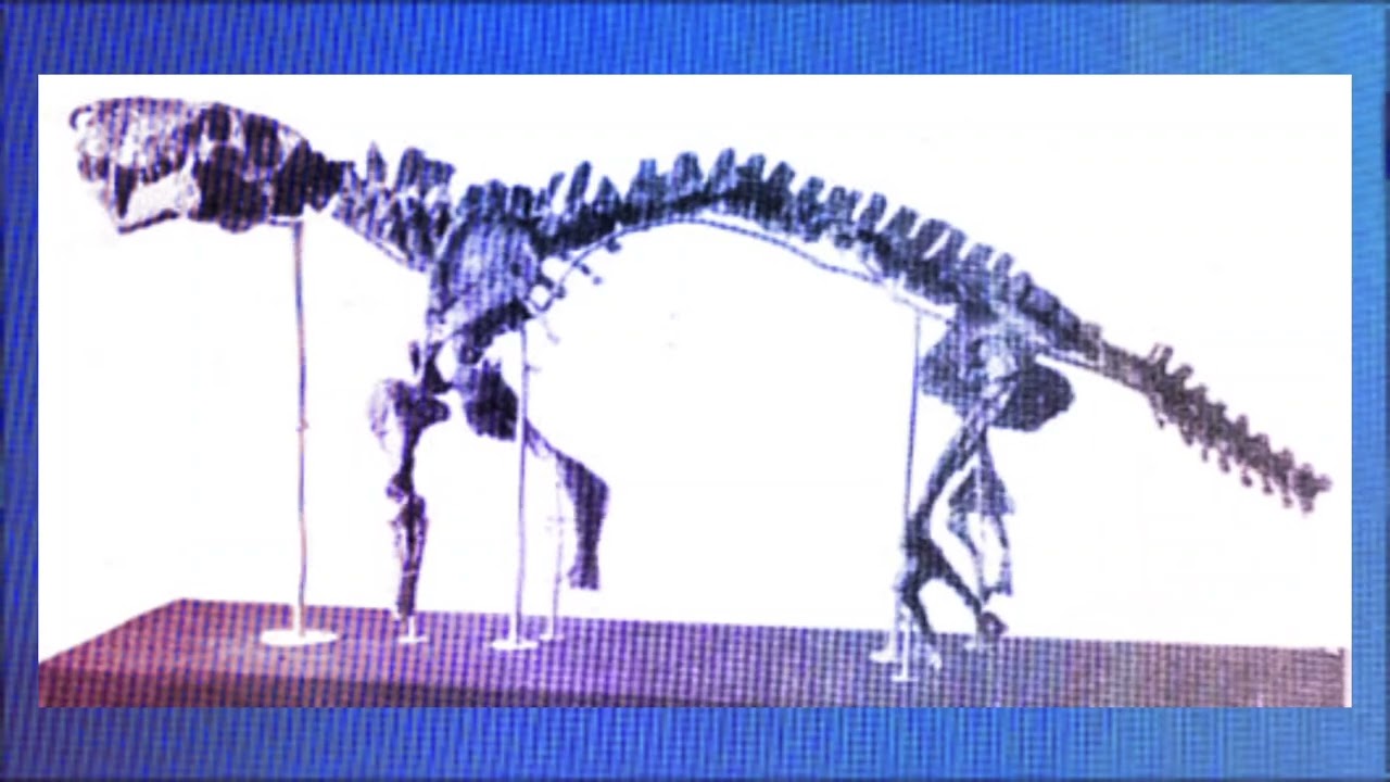 Eximia-02: Therapsis Reditum (Analog Horror)