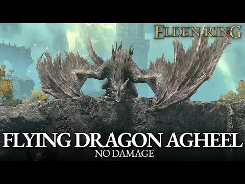 Flying Dragon Agheel