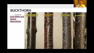 SE VT CISMA Webinar: Buckthorn Bonanza
