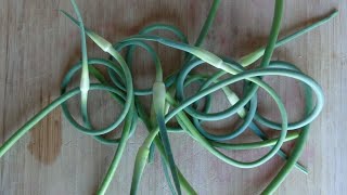 Quick ideas for using garlic scapes!go to http://www.kitchenlister.com
create a free account and use the switcher-swapper now!video also
includes short ...