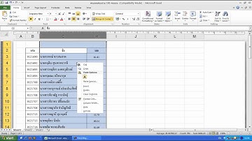 การซ่อนคอลัมน์และแถวในExcel