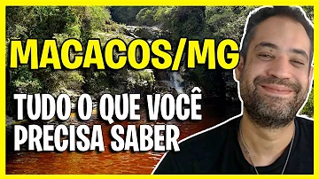 O que fazer em Macacos à noite?