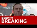 Russian opposition leader Alexei Navalny has died, Russian media report | BBC News | BBC News