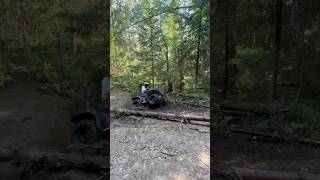 Yamaha Grizzly через брод, квадроциклы #shots #offroad