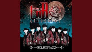 Video thumbnail of "Conjunto Lobo Universal - La Picosa"
