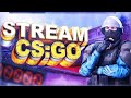 👉 CТРИМ CS GO 🔴 - КС ГО пытаюсь апнуть ГЛОБАЛА? УЧУСЬ ИГРАТЬ В CS:GO🎯