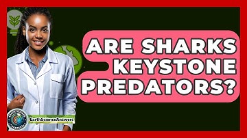 Are Sharks Keystone Predators? - Earth Science Answers