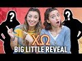 Sorority BIG LITTLE Reveal! | Chi Omega at Baylor 2019