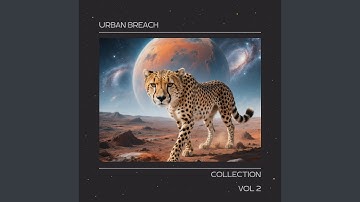 Released Particle Manipulation