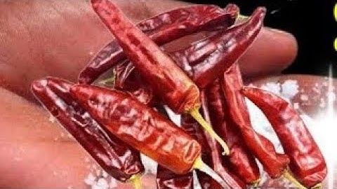 13 अप्रैल वैशाख रविवार के दिन इस जगह फेंक देना 3 लौंग बनोगे.Pardeep Ji Mishra