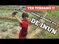 NERBANGIN BURUNG RUMAHAN DE INUN