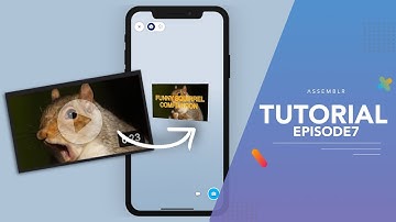 Simple Editor 101: How to Insert Video