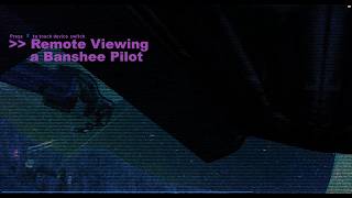 Halo Covenant Edition - Remote Viewing a Banshee Pilot on Sidewinder