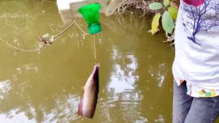 Old style Bottle Fishing Trap | A Small Boy Fish Catching by Plastic Bottle