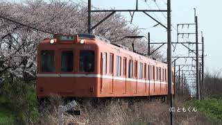 養老鉄道　2019/04撮影　桜