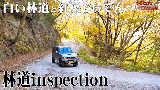 白い林道と紅葉とおでん！JB23W【林道Inspection】#3