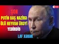 ŞOK: Putin baş nazirə ölü heyvan ürəyi YEDİRDİB - Keçmiş senatordan SENSASİYON AÇIQLAMA   - LAF TV