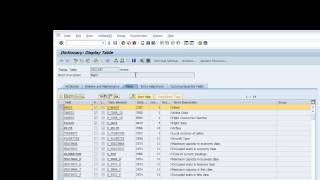 Celebrity SAP ABAP tutorial - Navigation & Database Concepts - Day 2 Continued Net Worth