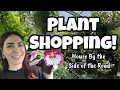 SO MANY PLANTS!! 😍🌿 Plant Shopping at House By the Side of the Road in Wilton, NH!! ✨️