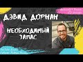 Дорнан Дэвид - Необходимый запас (2015)