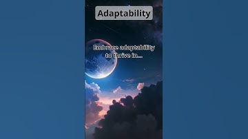 Adaptability: The Key to Thriving in Change