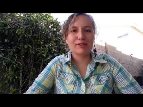 Видео: Погода и климат в Аризоне