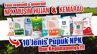 10 JENIS PUPUK NPK DAN KEGUNAANNYA | NPK Musim Hujan & Kemarau