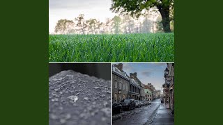 Friendly Ambience for Staying Home and Studying