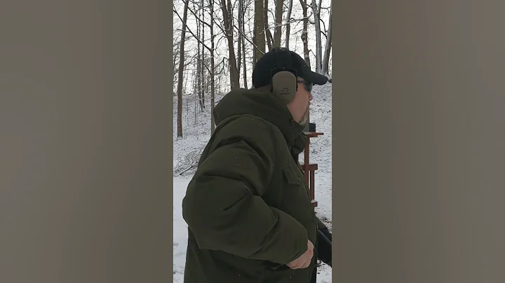 A Good Argument for .22 Magnum for Self Defense