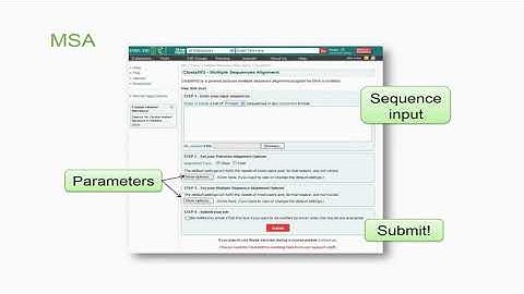 Principles and Functions of Clustal W Tool