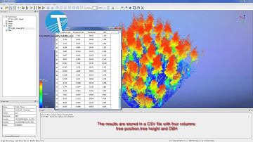 TLS Individual Tree Segmentation