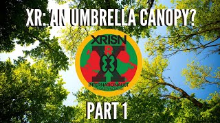 XR: An Umbrella Canopy? - Part 1