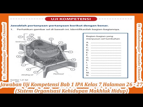 Video: Kotoran Macam Apa Yang Menghalangi Saya Untuk Hidup? Sedikit Mengenai Introjek. Bahagian 2: Faedah, Sumber Dan Apa Yang Harus Dilakukan Mengenainya?