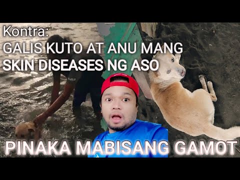 Video: C Laptopril - Listahan Ng Gamot Sa Alagang Hayop, Aso At Cat At Listahan Ng Reseta